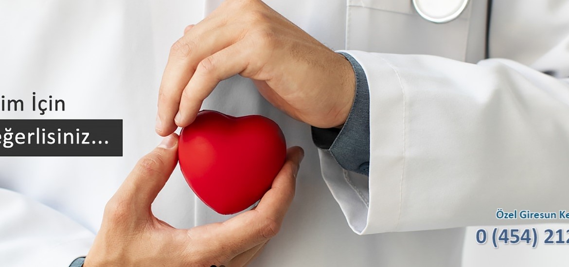 Organizasyon Şeması