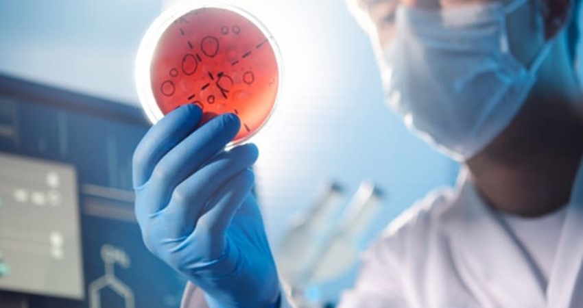 Enfeksiyon Hastalıkları ve Klinik Mikrobiyoloji