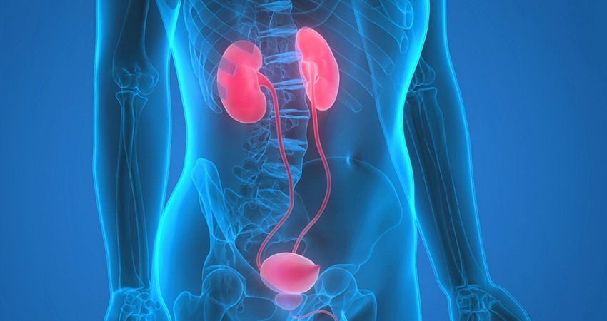 Üroloji Polikliniği