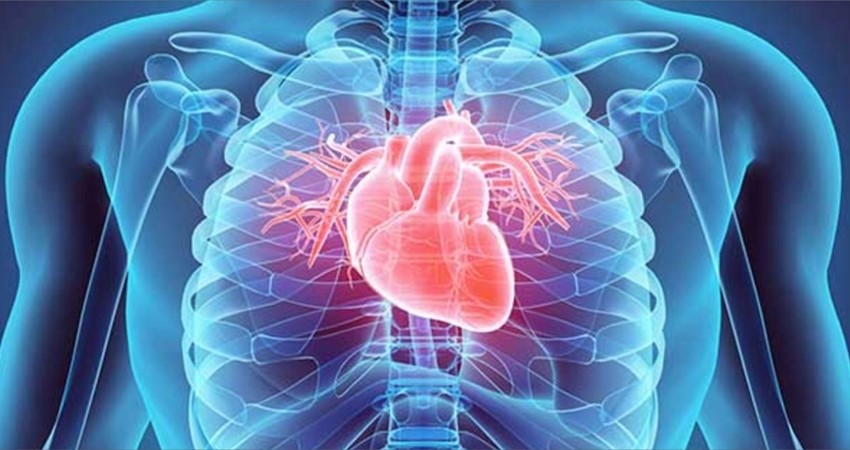 Kardiyoloji Polikliniği